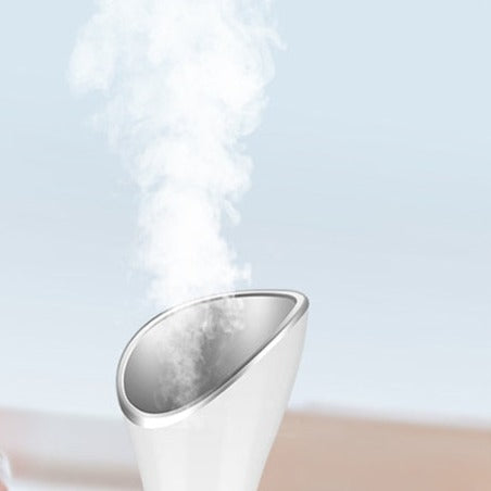 Facial Steamer