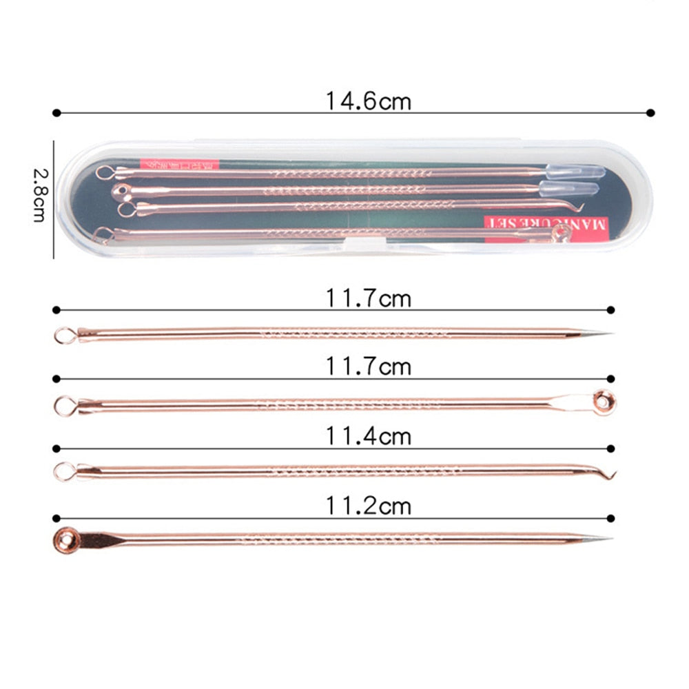 4Pcs Stainless Steel Acne Removal Needles